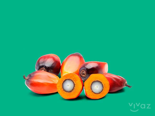 Los peligros del aceite de palma - Vivaz Seguros Los peligros del aceite de palma - Vivaz Seguros
